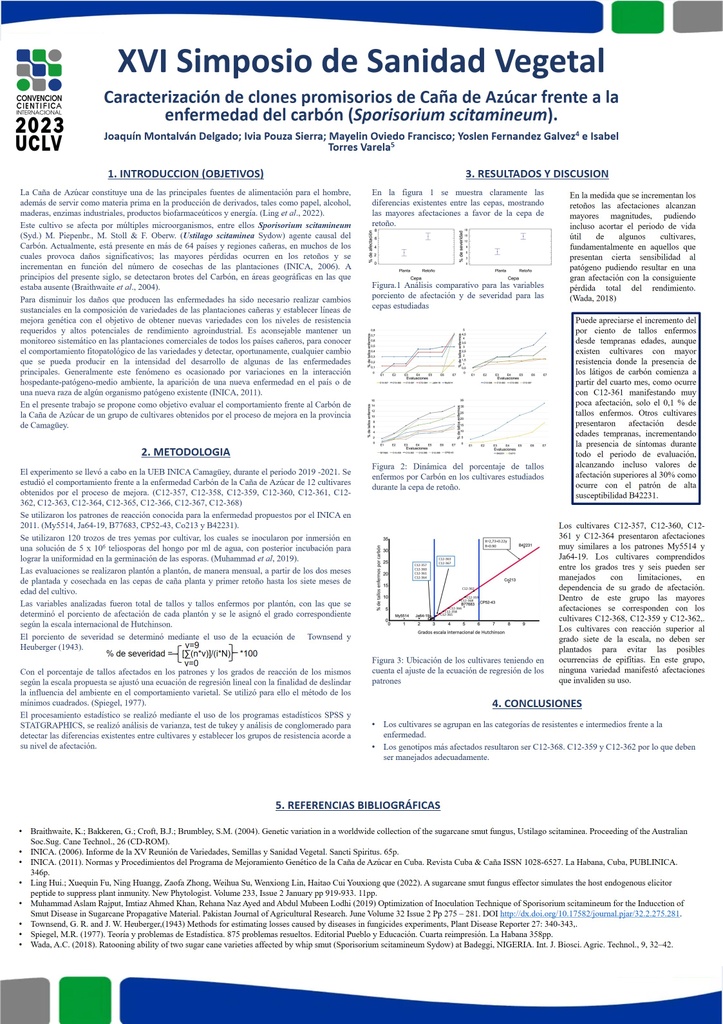 Characterization of promising sugarcane clones, against smut disease (Sporisorium scitamineum)