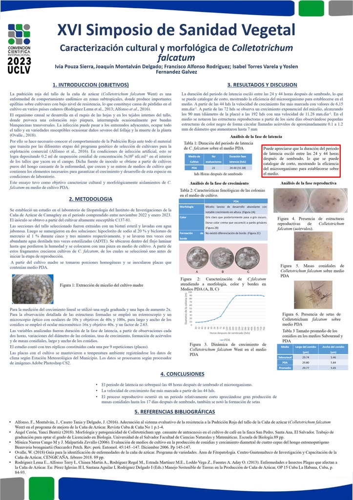 Crecimiento y desarrollo de Colletotrichum falcatum,  sobre medio de cultivo PDA