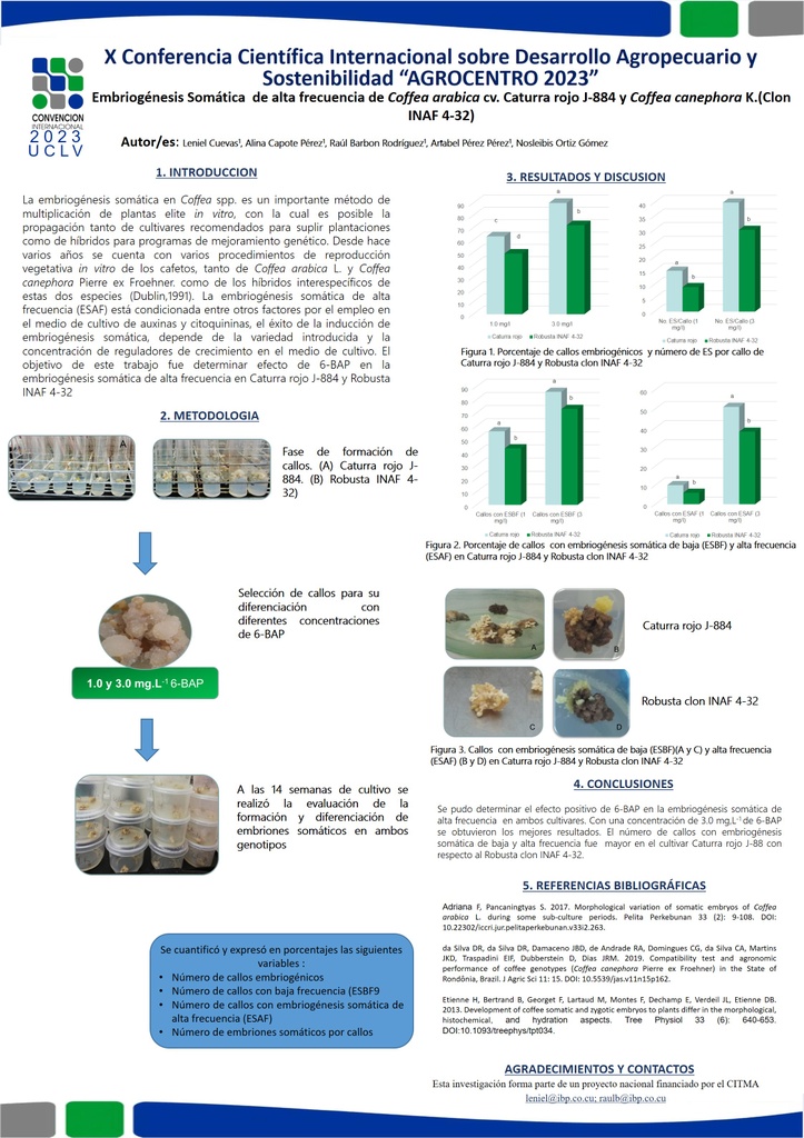 Embriogénesis somática de alta frecuencia en Coffea arabica cv. Caturra rojo J-884 y Coffea canephora K. (Clon INAF 4-32)