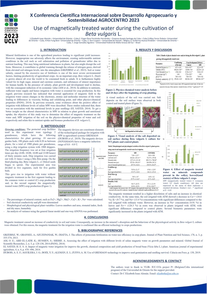 Use of magnetically treated water during the cultivation of Beta vulgaris L.