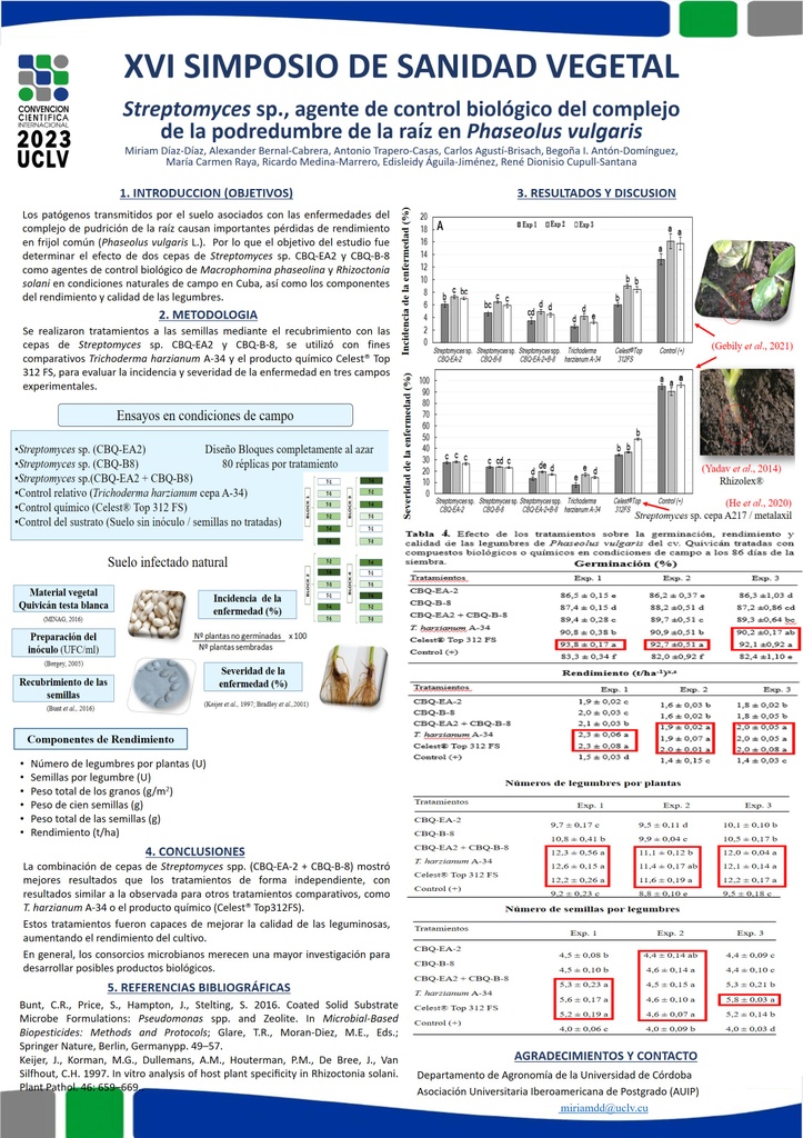 Streptomyces sp., agente de control biológico del complejo de la podredumbre de la raíz en Phaseolus vulgaris