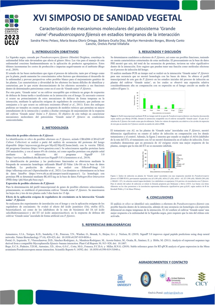 Characterization of molecular mechanisms of the pathosystem ‘Grande’ naine'-Pseudocercospora fijiensis in early stages of the interaction