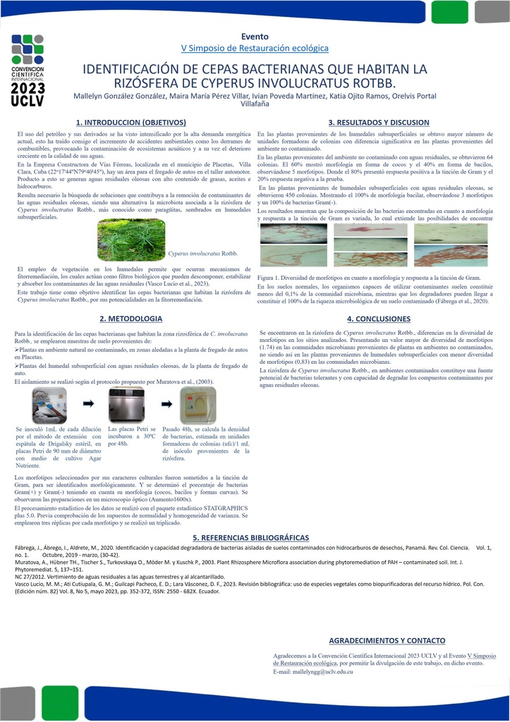 Identificación de cepas bacterianas que habitan la rizósfera de Cyperus involucratus Rotbb.