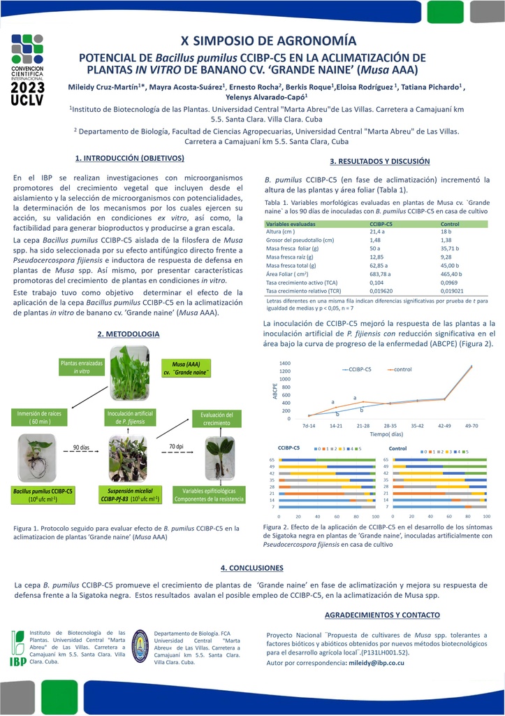 POTENCIAL DE Bacillus pumilus CCIBP-C5 EN LA ACLIMATIZACIÓN DE PLANTAS IN VITRO DE BANANO CV. ‘GRANDE NAINE’ (Musa AAA)