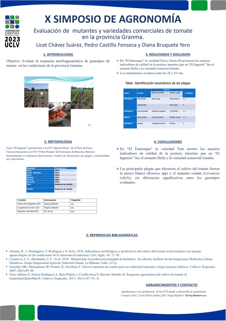 Evaluation of mutants and commercial varieties of tomato in the Granma province.