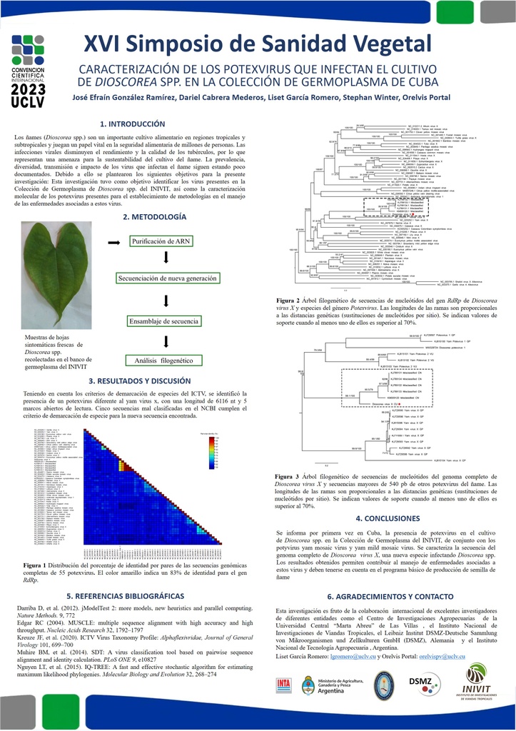 Caracterización de los potexvirus que infectan el cultivo de Dioscorea spp. en la Colección de Germoplasma de Cuba