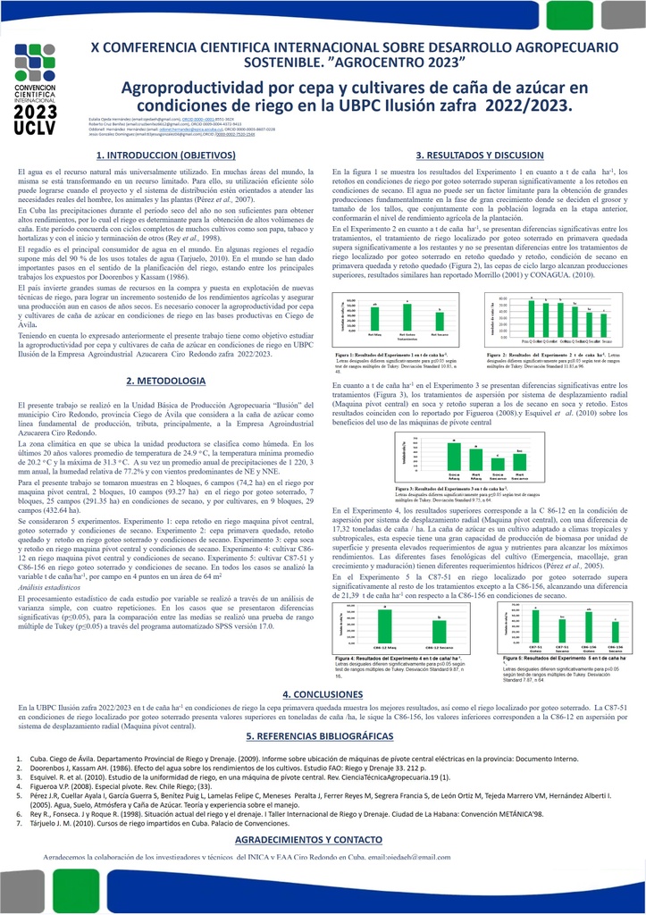 Agroproductivity by sugarcane strain and cultivars under irrigation conditions at the UBPC Ilusión harvest 2022/2023.